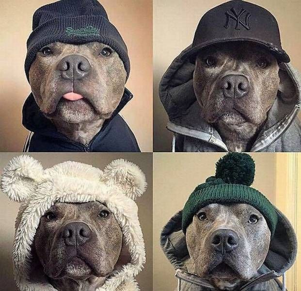 Daily Pictures. Part 1 (63 pics) Daily Pictures. Part 1 (63 pics)