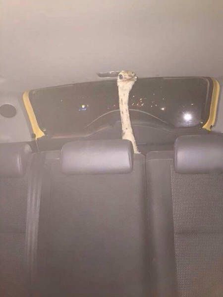 Daily Pictures. Part 2 (62 pics) Daily Pictures. Part 2 (62 pics)