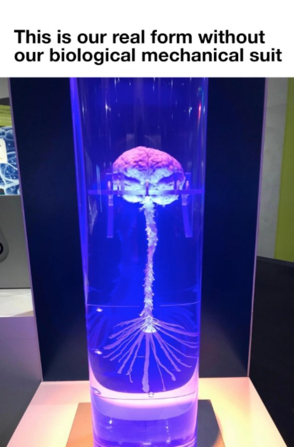 Daily Pictures. Part 2 (62 pics) Daily Pictures. Part 2 (62 pics)