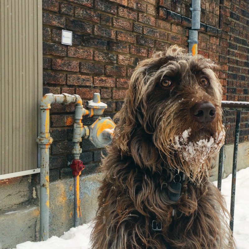 Daily Pictures. Part 2 (62 pics) Daily Pictures. Part 2 (62 pics)