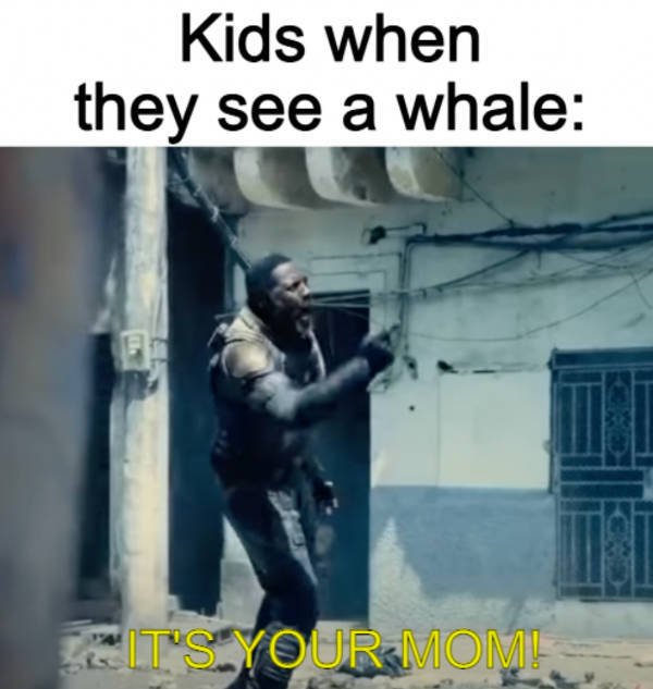 Daily Pictures. Part 2 (62 pics) Daily Pictures. Part 2 (62 pics)