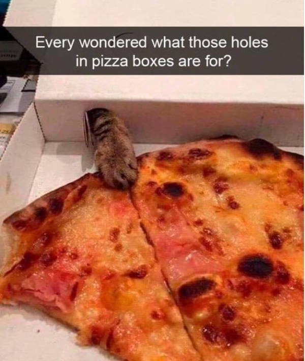 Daily Pictures. Part 2 (62 pics) Daily Pictures. Part 2 (62 pics)