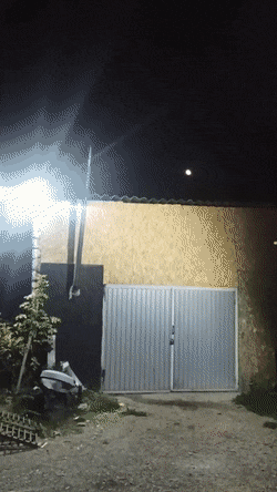 Acid GIFs, December 4 (25 gifs)