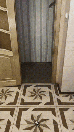 Acid GIFs, December 4 (25 gifs)