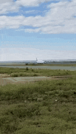 Acid GIFs, December 4 (25 gifs)