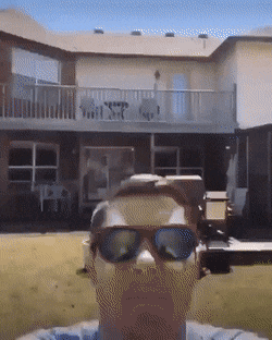 Acid GIFs, December 4 (25 gifs)