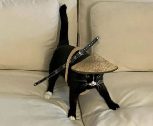 Strange Finds And Situations (46 pics)