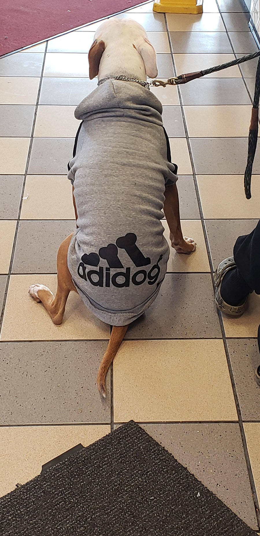 Daily Pictures. Part 1 (63 pics) Daily Pictures. Part 1 (63 pics)