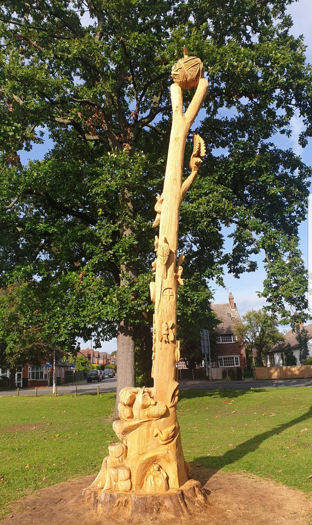 Daily Pictures. Part 1 (63 pics) Daily Pictures. Part 1 (63 pics)