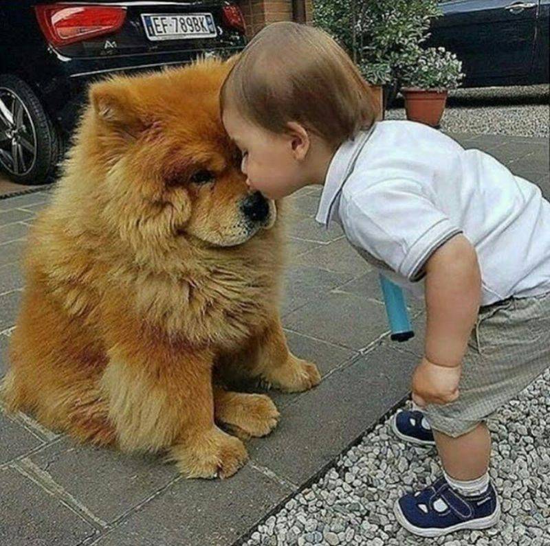 Daily Pictures. Part 1 (63 pics) Daily Pictures. Part 1 (63 pics)