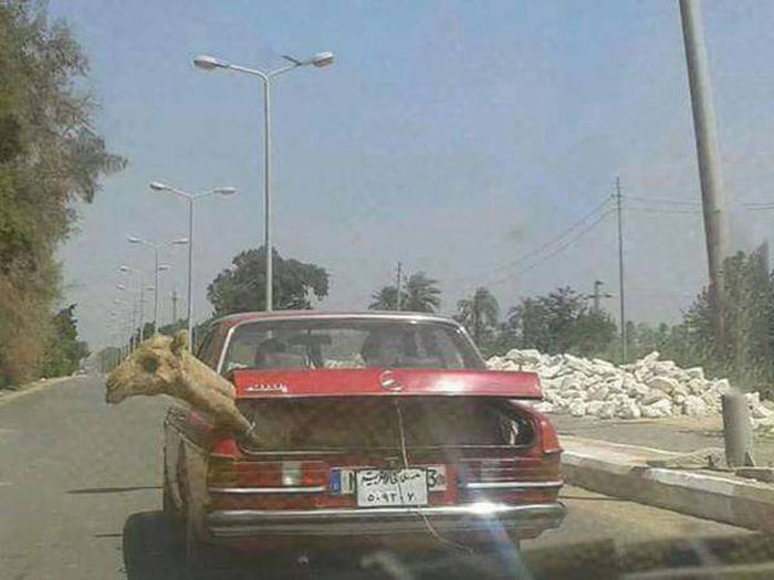 Daily Pictures. Part 1 (63 pics) Daily Pictures. Part 1 (63 pics)