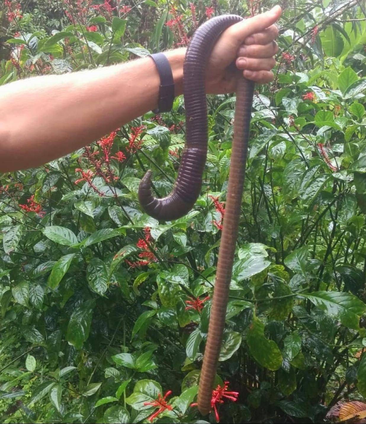 Daily Pictures. Part 1 (63 pics) Daily Pictures. Part 1 (63 pics)