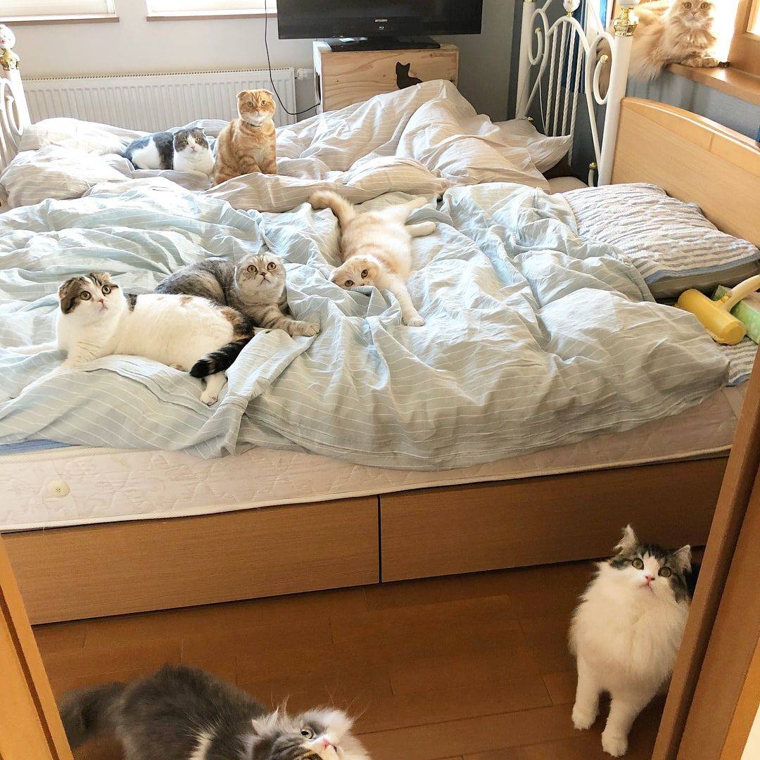 Daily Pictures. Part 1 (63 pics) Daily Pictures. Part 1 (63 pics)