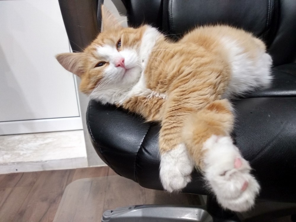 Daily Pictures. Part 2 (62 pics) Daily Pictures. Part 2 (62 pics)