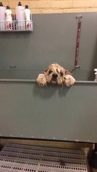 Daily Pictures. Part 1 (63 pics) Daily Pictures. Part 1 (63 pics)