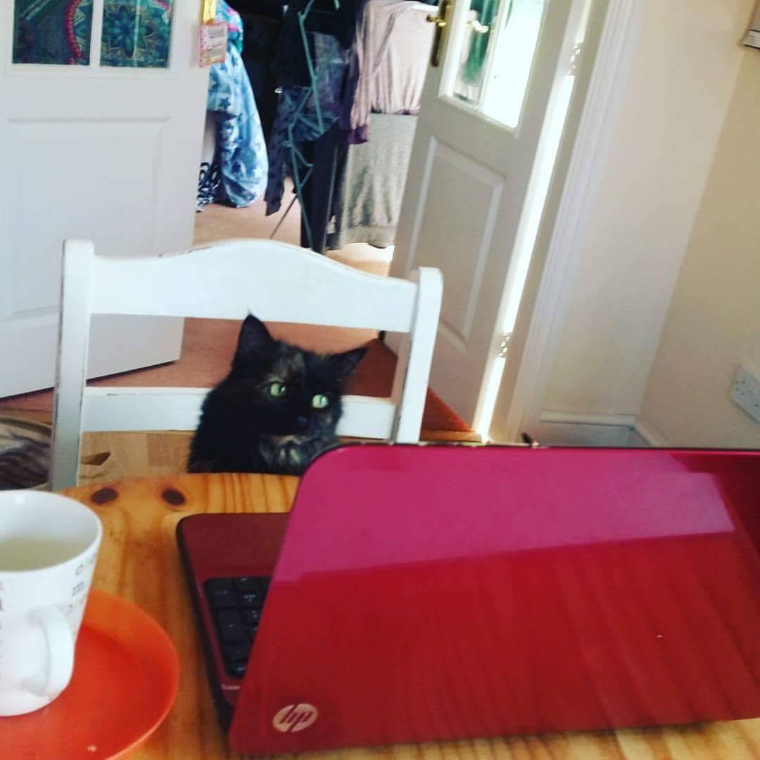 Daily Pictures. Part 2 (62 pics) Daily Pictures. Part 2 (62 pics)