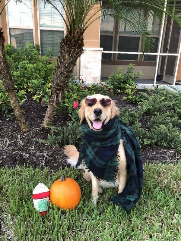 Daily Pictures. Part 2 (62 pics) Daily Pictures. Part 2 (62 pics)