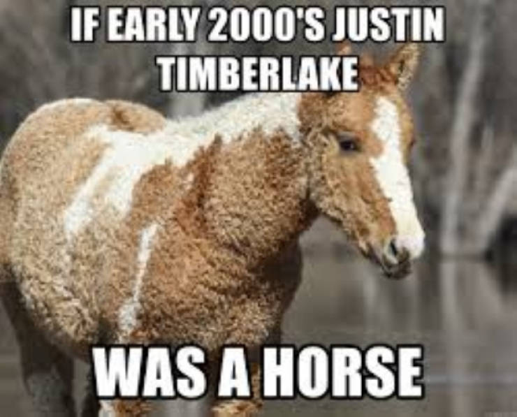 Daily Pictures. Part 2 (62 pics) Daily Pictures. Part 2 (62 pics)