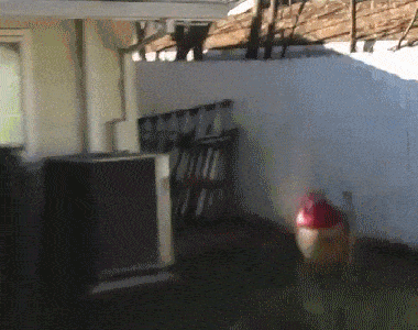 Acid GIFs, December 5 (25 gifs)