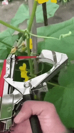 Acid GIFs, December 5 (25 gifs)