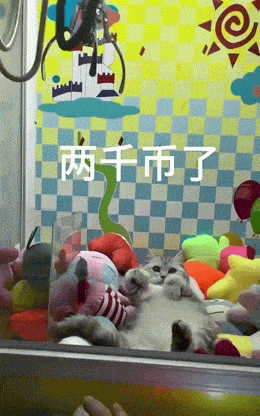 Acid GIFs, December 5 (25 gifs)