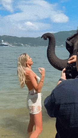 Acid GIFs, December 5 (25 gifs)