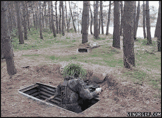 Acid GIFs, December 5 (25 gifs)