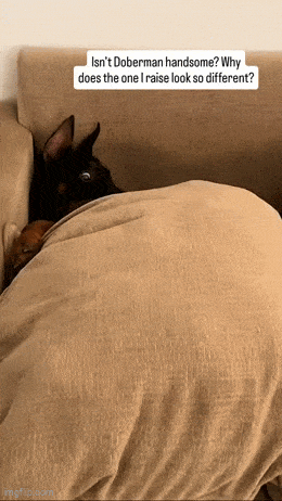 Acid GIFs, December 5 (25 gifs)