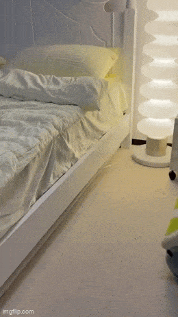 Acid GIFs, December 5 (25 gifs)