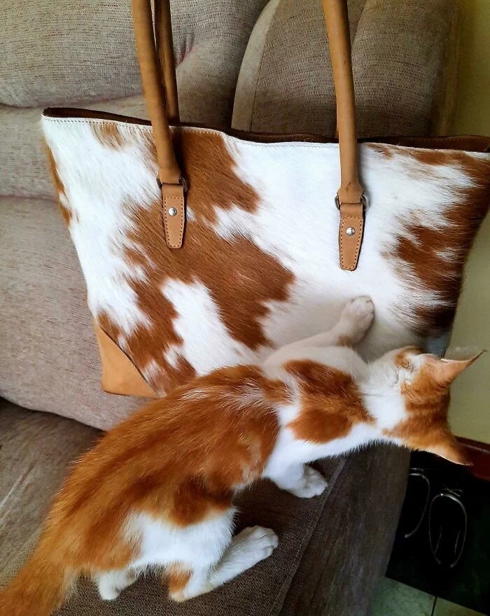 Right Moment (23 pics)