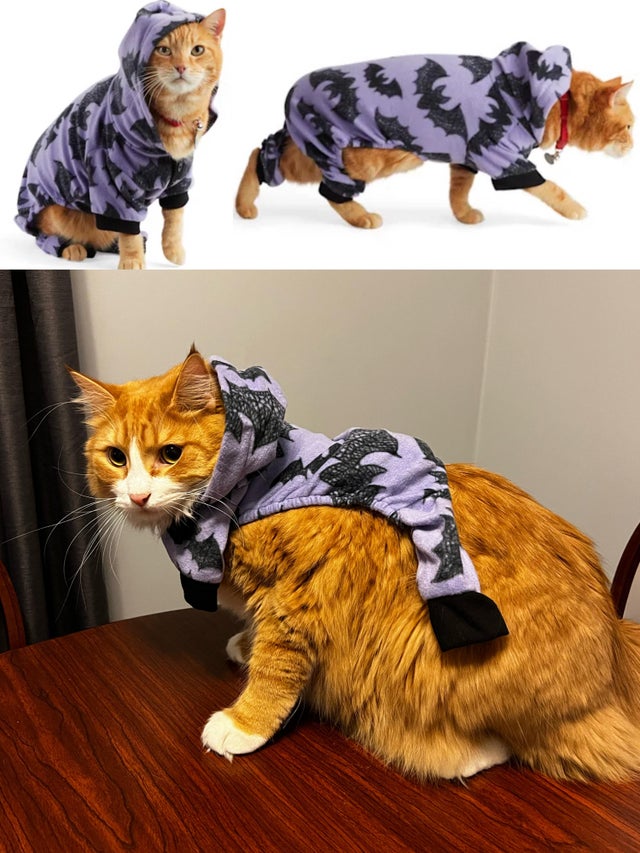 Expectations Against Reality (22 pics) Expectations Against Reality (22 pics)