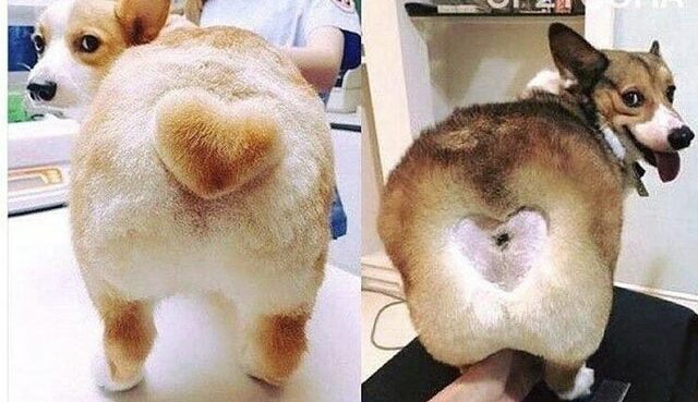 Expectations Against Reality (22 pics) Expectations Against Reality (22 pics)