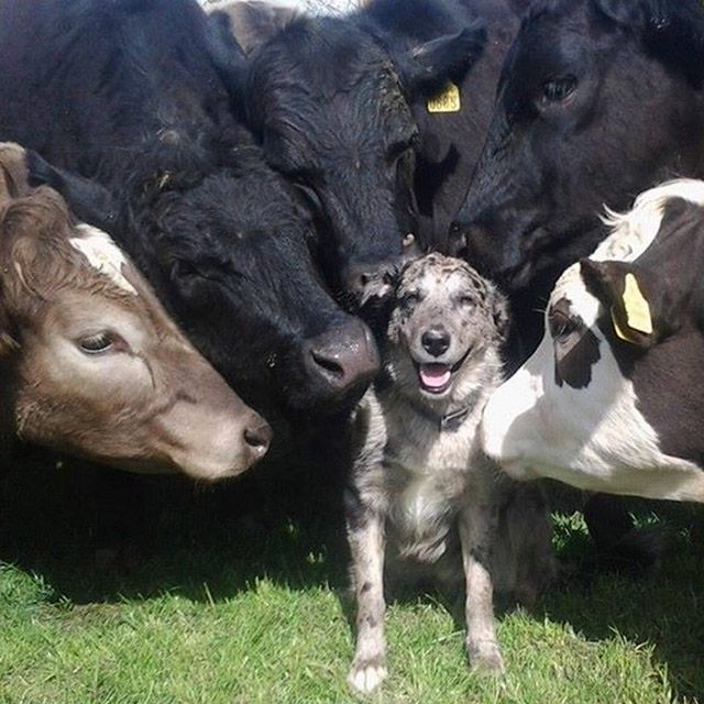 Daily Pictures. Part 1 (67 pics) Daily Pictures. Part 1 (67 pics)