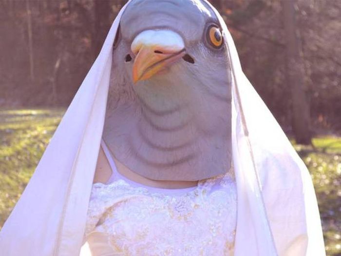 Daily Pictures. Part 1 (67 pics) Daily Pictures. Part 1 (67 pics)