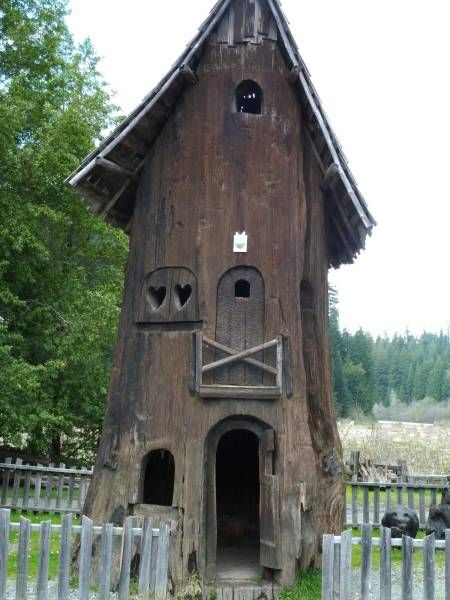 Daily Pictures. Part 1 (67 pics) Daily Pictures. Part 1 (67 pics)