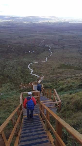 Daily Pictures. Part 1 (67 pics) Daily Pictures. Part 1 (67 pics)