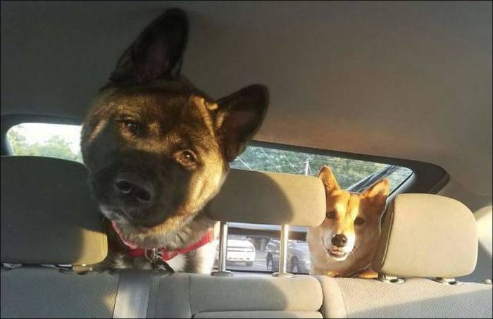 Daily Pictures. Part 1 (67 pics) Daily Pictures. Part 1 (67 pics)