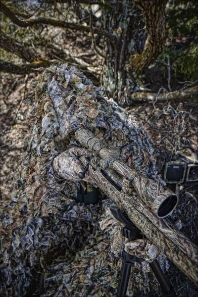 Daily Pictures. Part 1 (67 pics) Daily Pictures. Part 1 (67 pics)