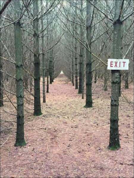 Daily Pictures. Part 1 (67 pics) Daily Pictures. Part 1 (67 pics)