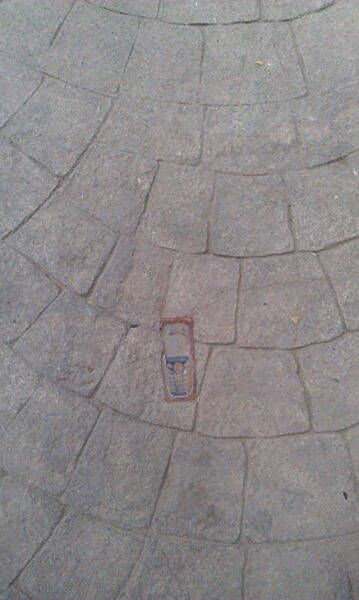 Daily Pictures. Part 1 (67 pics) Daily Pictures. Part 1 (67 pics)