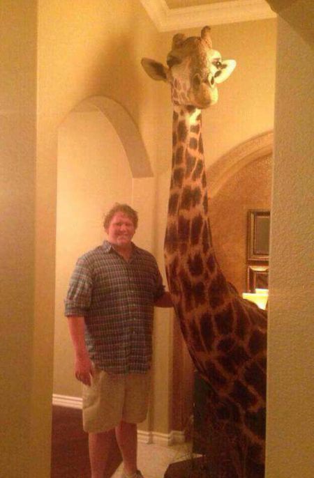 Daily Pictures. Part 1 (67 pics) Daily Pictures. Part 1 (67 pics)