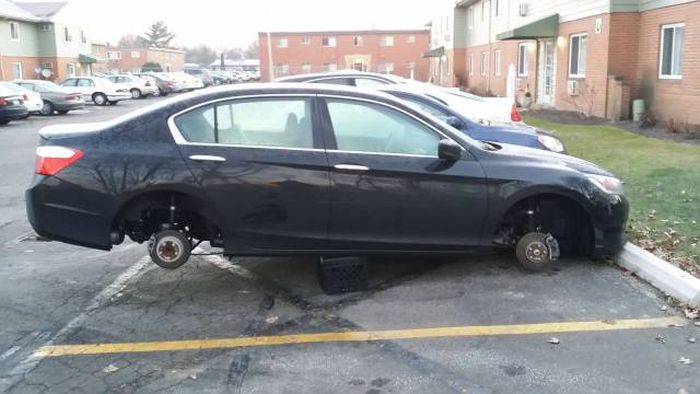 Daily Pictures. Part 2 (66 pics) Daily Pictures. Part 2 (66 pics)