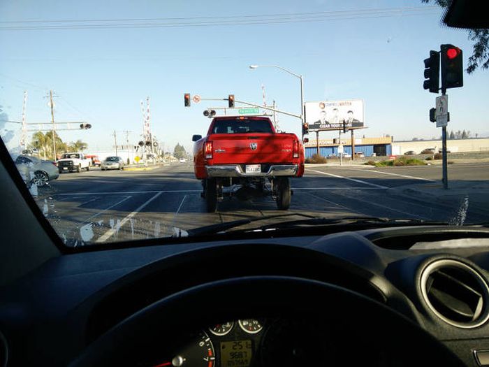 Daily Pictures. Part 2 (66 pics) Daily Pictures. Part 2 (66 pics)