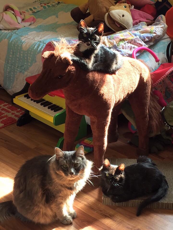 Daily Pictures. Part 2 (66 pics) Daily Pictures. Part 2 (66 pics)