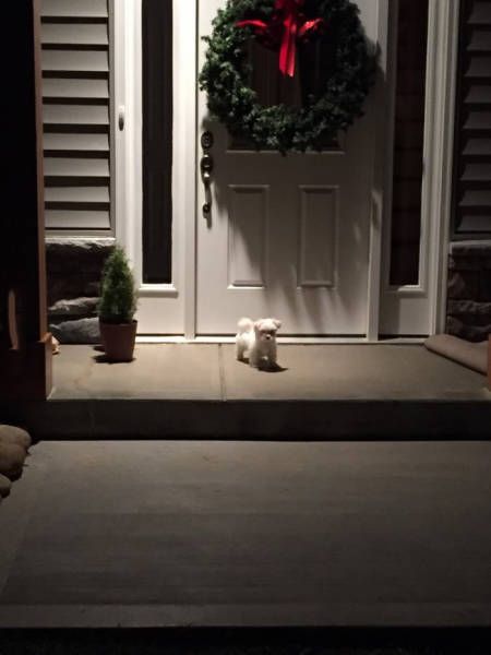 Daily Pictures. Part 2 (66 pics) Daily Pictures. Part 2 (66 pics)