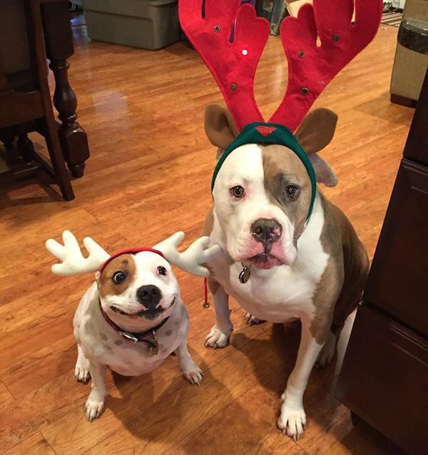 Daily Pictures. Part 1 (67 pics) Daily Pictures. Part 1 (67 pics)