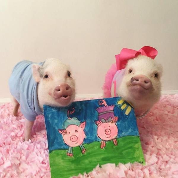 Daily Pictures. Part 1 (67 pics) Daily Pictures. Part 1 (67 pics)