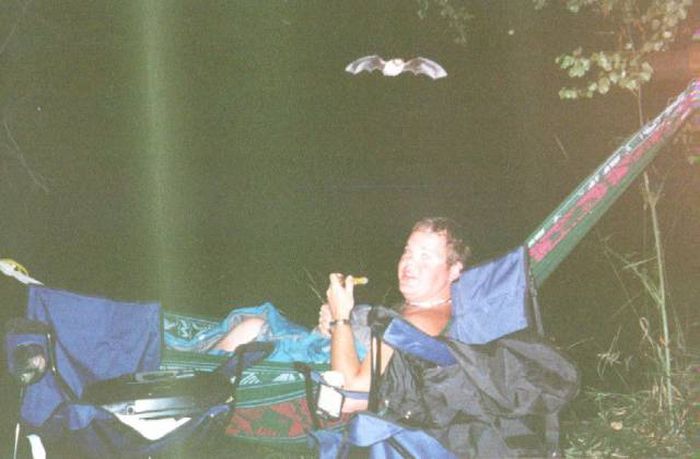 Daily Pictures. Part 2 (66 pics) Daily Pictures. Part 2 (66 pics)