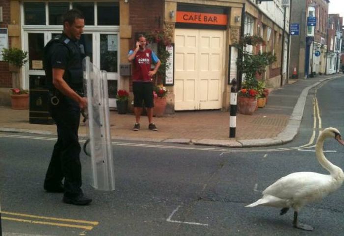 Daily Pictures. Part 2 (66 pics) Daily Pictures. Part 2 (66 pics)