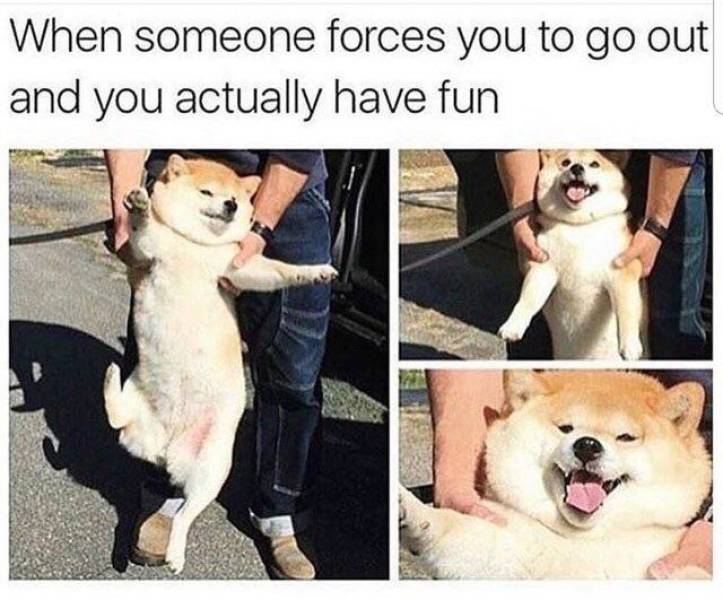 Daily Pictures. Part 2 (66 pics) Daily Pictures. Part 2 (66 pics)